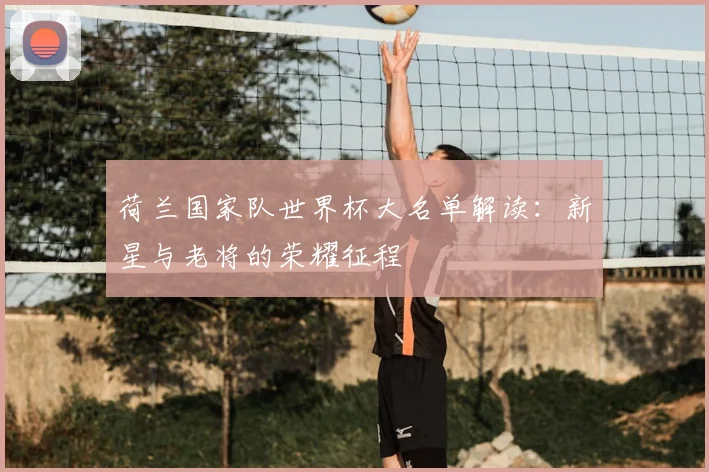 荷兰国家队世界杯大名单解读：新星与老将的荣耀征程